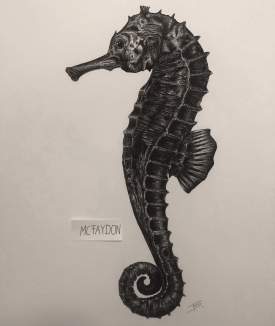 Seahorse