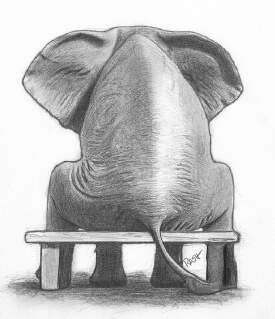 The Elephant In The Room