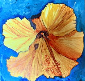 Another Hibiscus