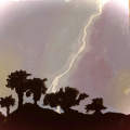 Desert Lightening 