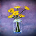 Flowers in Glass Vase