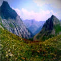 Yankee Boy Basin