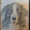 Cooper
