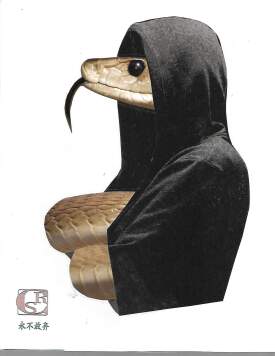 pamoja za magi