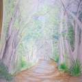 Cypress Trail