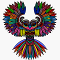 Rainbow Owl 