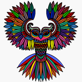 Rainbow Owl 