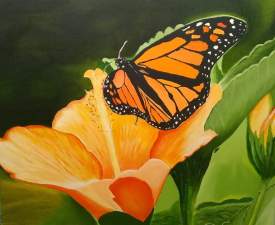 Monarch butterfly