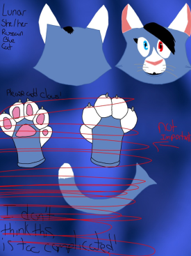 Refance Sheet For Fursona, Lunar