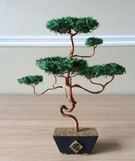 Bonsai