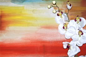 White Orchids - Oil Paint 