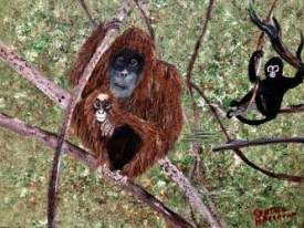 Endangered Oranguntan and Spider Monkey