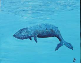 Endangered Blue Whale