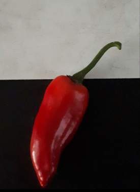 The Red Pepper