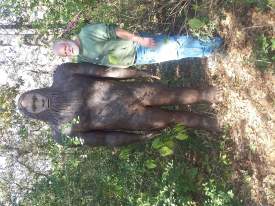 Tx Bigfoot statue