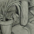 plant still life