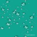 Aqua 