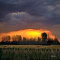 Sunrises over fields of hay