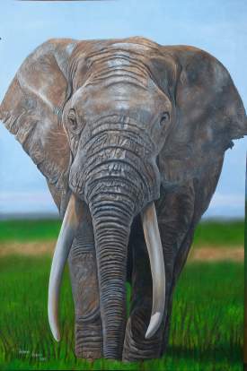 elephant painting