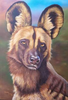 wild dog 