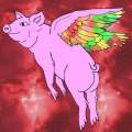 Rainbow wings flying pig