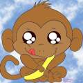 Monkey 2