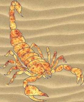 Fire scorpion 