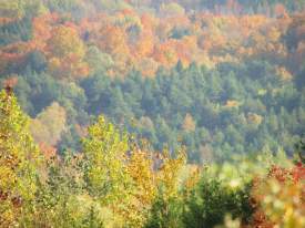 The Valley 