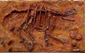 DINOSAURS FOSSIL