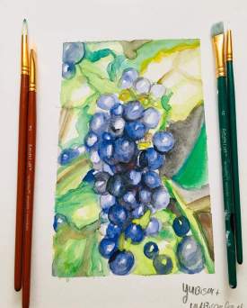 watercolor grapes artwork 