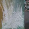 Feather