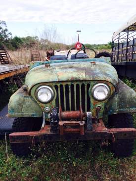 Study in Jeep