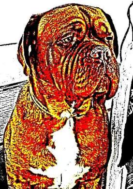 King Zig