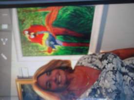 my loving parrot painting at exit it ion for the needed at gallery in DUNDEIN  