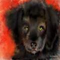 The Little Green Eyed Black Shaggy Pup Watercolors