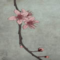 Spring Delight III
