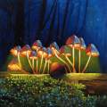 Night Lights Glowing Mushrooms