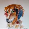 Watercolor Colorful Dog