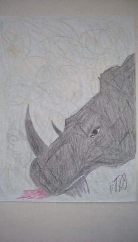 Horns of the Rhino