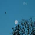 Moon Bird