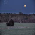 Field moonrise