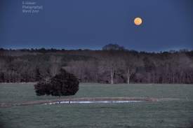 Field moonrise