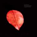 Red Leaf