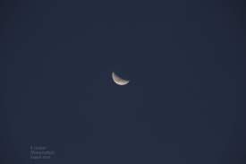 Crescent moon