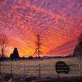 December Sunset