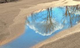 Puddle reflection