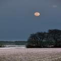 March Moonrise