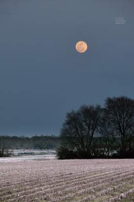 March Moonrise