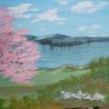 Cherry Blossom by the Lake