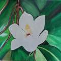 White Magnolia